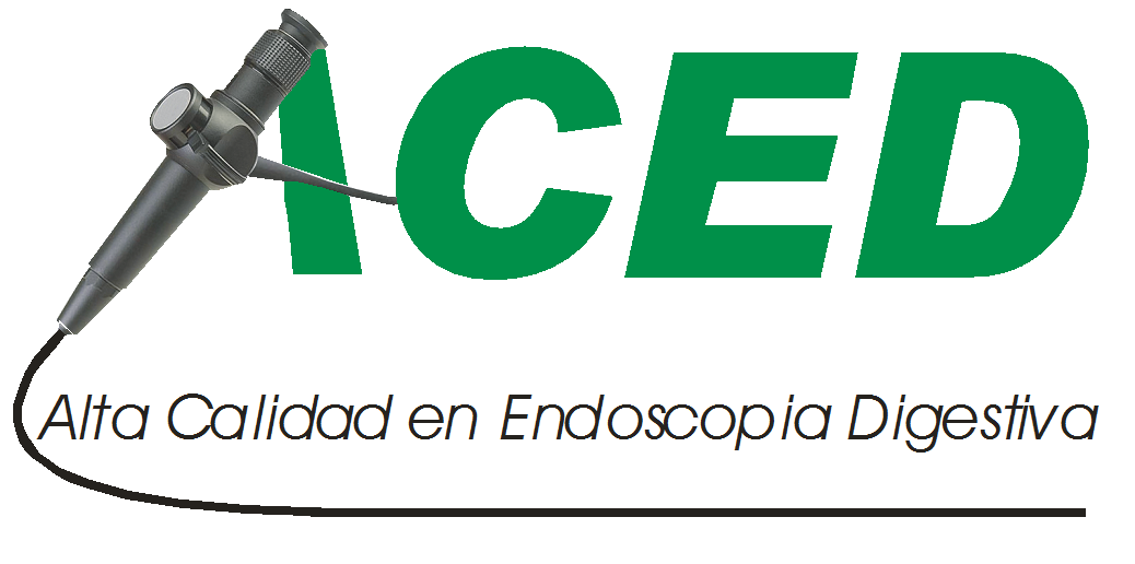 Logo Aced SRL